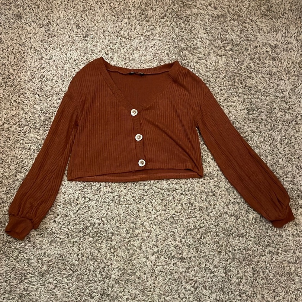 Burnt orange cropped shein sweater